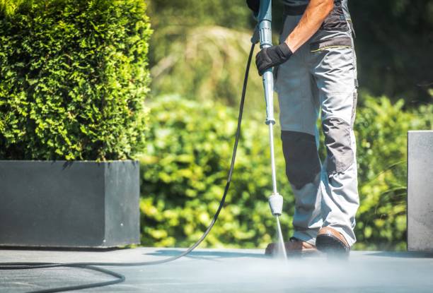 Best Driveway Pressure Washing  in Mechanicsburg, PA