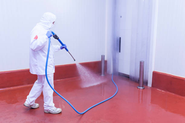 Best Pre-Holiday Cleaning  in Mechanicsburg, PA